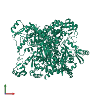 Guanylate kinase in PDB entry 2anc, assembly 1, front view.