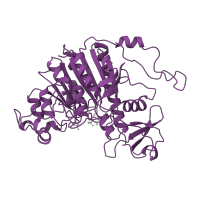 The deposited structure of PDB entry 2anh contains 2 copies of SCOP domain 53650 (Alkaline phosphatase) in Alkaline phosphatase. Showing 1 copy in chain A.