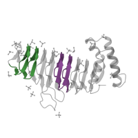 The deposited structure of PDB entry 2aq9 contains 2 copies of Pfam domain PF00132 (Bacterial transferase hexapeptide (six repeats)) in Acyl-[acyl-carrier-protein]--UDP-N-acetylglucosamine O-acyltransferase. Showing 2 copies in chain A.