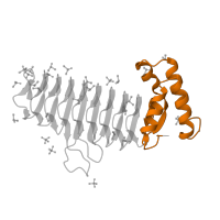 The deposited structure of PDB entry 2aq9 contains 1 copy of Pfam domain PF13720 (Udp N-acetylglucosamine O-acyltransferase; Domain 2) in Acyl-[acyl-carrier-protein]--UDP-N-acetylglucosamine O-acyltransferase. Showing 1 copy in chain A.