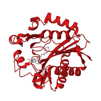 The deposited structure of PDB entry 2art contains 1 copy of CATH domain 3.30.930.10 (BirA Bifunctional Protein; domain 2) in Lipoate-protein ligase A subunit 1. Showing 1 copy in chain A.