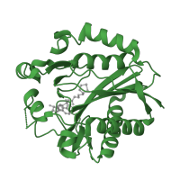 The deposited structure of PDB entry 2art contains 1 copy of SCOP domain 143642 (LplA-like) in Lipoate-protein ligase A subunit 1. Showing 1 copy in chain A.