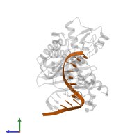 5'-D(*CP*TP*AP*AP*CP*G*CP*TP*AP*CP*CP*AP*TP*CP*CP*AP*AP*CP*C)-3' in PDB entry 2au0, assembly 1, side view.