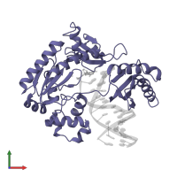 DNA polymerase IV in PDB entry 2au0, assembly 1, front view.