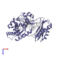 DNA polymerase IV in PDB entry 2au0, assembly 1, top view.