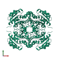 Enoyl-[acyl-carrier-protein] reductase [NADH] in PDB entry 2b35, assembly 1, front view.