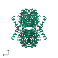 Enoyl-[acyl-carrier-protein] reductase [NADH] in PDB entry 2b37, assembly 2, side view.