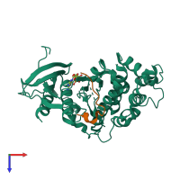 PDB entry 2b9i coloured by chain, top view.