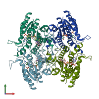 PDB entry 2bfm coloured by chain, front view.