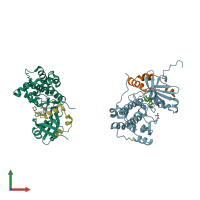 PDB entry 2bfy coloured by chain, front view.