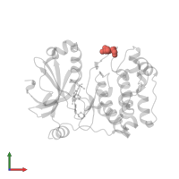 Modified residue TPO in PDB entry 2bfy, assembly 1, front view.