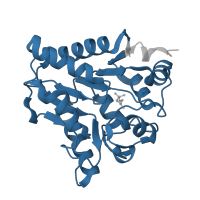 The deposited structure of PDB entry 2bkv contains 2 copies of Pfam domain PF01182 (Glucosamine-6-phosphate isomerases/6-phosphogluconolactonase) in Glucosamine-6-phosphate deaminase 1. Showing 1 copy in chain B.