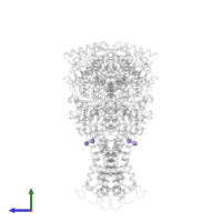 DODECYL-BETA-D-MALTOSIDE in PDB entry 2bs3, assembly 1, side view.