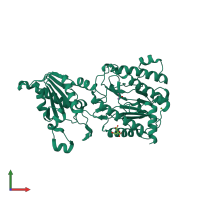 PDB entry 2bwt coloured by chain, front view.