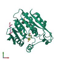 PDB entry 2bzg coloured by chain, front view.