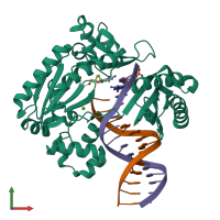 Hetero trimeric assembly 1 of PDB entry 2c28 coloured by chemically distinct molecules, front view.