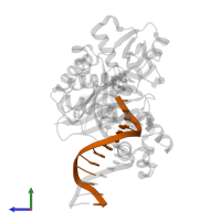 5'-D(*GP*GP*GP*GP*GP*AP*AP*GP*GP*AP *TP*TP*C)-3' in PDB entry 2c28, assembly 1, side view.