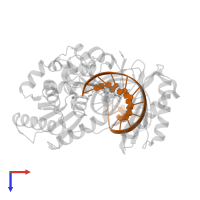 5'-D(*GP*GP*GP*GP*GP*AP*AP*GP*GP*AP *TP*TP*C)-3' in PDB entry 2c28, assembly 1, top view.