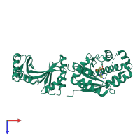 PDB entry 2c5s coloured by chain, top view.