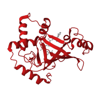 The deposited structure of PDB entry 2c8f contains 3 copies of CATH domain 3.90.176.10 (Toxin ADP-ribosyltransferase; Chain A, domain 1) in Exoenzyme C3. Showing 1 copy in chain A [auth E].