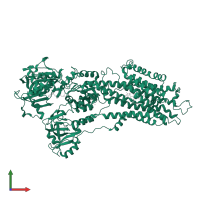 Sarcoplasmic/endoplasmic reticulum calcium ATPase 1 in PDB entry 2c8k, assembly 1, front view.