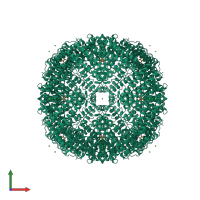 Homo 24-meric assembly 1 of PDB entry 2chi coloured by chemically distinct molecules, front view.