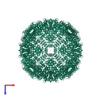 Ferritin heavy chain in PDB entry 2chi, assembly 1, top view.