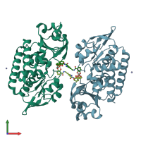 PDB entry 2chu coloured by chain, front view.