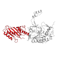 The deposited structure of PDB entry 2cja contains 2 copies of CATH domain 3.30.70.1920 (Alpha-Beta Plaits) in Type-2 serine--tRNA ligase. Showing 1 copy in chain B.