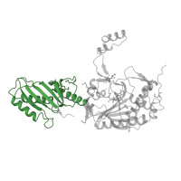 The deposited structure of PDB entry 2cja contains 2 copies of Pfam domain PF18490 (tRNA-binding domain) in Type-2 serine--tRNA ligase. Showing 1 copy in chain B.