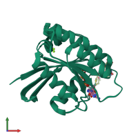 PDB entry 2cl7 coloured by chain, ensemble of 2 models, front view.