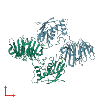 PDB entry 2clt coloured by chain, front view.
