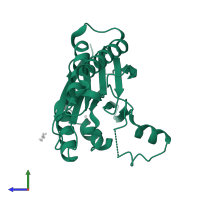 Serine/threonine protein phosphatase PstP in PDB entry 2cm1, assembly 1, side view.