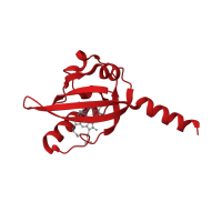The deposited structure of PDB entry 2cmn contains 1 copy of CATH domain 3.30.450.20 (Beta-Lactamase) in Sensor protein FixL. Showing 1 copy in chain A.