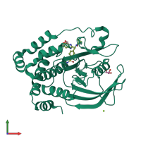 PDB entry 2cng coloured by chain, front view.