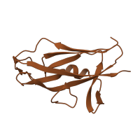 The deposited structure of PDB entry 2co6 contains 1 copy of CATH domain 2.60.40.1570 (Immunoglobulin-like) in Saf-pilin pilus formation protein domain-containing protein. Showing 1 copy in chain A.