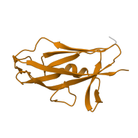 The deposited structure of PDB entry 2co6 contains 1 copy of SCOP domain 49405 (Pilus subunits) in Saf-pilin pilus formation protein domain-containing protein. Showing 1 copy in chain A.