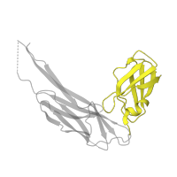 The deposited structure of PDB entry 2co6 contains 1 copy of SCOP domain 49585 (Periplasmic chaperone C-domain) in Fimbriae assembly chaparone. Showing 1 copy in chain B.