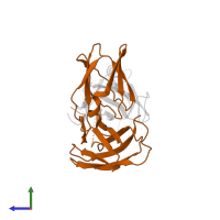 Fimbriae assembly chaparone in PDB entry 2co6, assembly 1, side view.