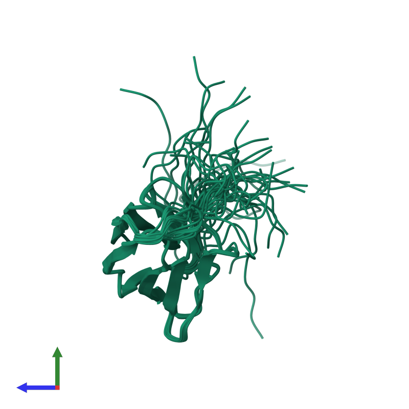 PDB entry 2cr6 coloured by chain, ensemble of 20 models, side view.