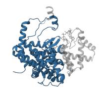 The deposited structure of PDB entry 2csc contains 1 copy of CATH domain 1.10.580.10 (Citrate Synthase; domain 1) in Citrate synthase, mitochondrial. Showing 1 copy in chain A.