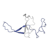 The deposited structure of PDB entry 2d3o contains 1 copy of Pfam domain PF17136 (Ribosomal proteins 50S L24/mitochondrial 39S L24) in Large ribosomal subunit protein uL24. Showing 1 copy in chain C [auth S].