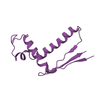 The deposited structure of PDB entry 2d3o contains 1 copy of CATH domain 3.30.70.1050 (Alpha-Beta Plaits) in Trigger factor. Showing 1 copy in chain E [auth 1].