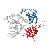 The deposited structure of PDB entry 2dcu contains 2 copies of CATH domain 2.40.30.10 (Elongation Factor Tu (Ef-tu); domain 3) in Translation initiation factor 2 subunit gamma. Showing 2 copies in chain A.