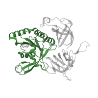 The deposited structure of PDB entry 2dcu contains 1 copy of CATH domain 3.40.50.300 (Rossmann fold) in Translation initiation factor 2 subunit gamma. Showing 1 copy in chain A.