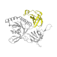The deposited structure of PDB entry 2dcu contains 1 copy of Pfam domain PF09173 (Initiation factor eIF2 gamma, C terminal) in Translation initiation factor 2 subunit gamma. Showing 1 copy in chain A.