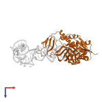 tRNA-specific 2-thiouridylase MnmA in PDB entry 2der, assembly 2, top view.