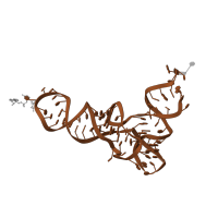 The deposited structure of PDB entry 2deu contains 2 copies of Rfam domain RF00005 (tRNA) in tRNA. Showing 1 copy in chain A [auth C].