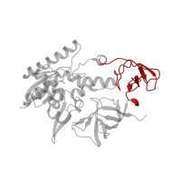 The deposited structure of PDB entry 2deu contains 2 copies of CATH domain 2.30.30.280 (SH3 type barrels.) in tRNA-specific 2-thiouridylase MnmA. Showing 1 copy in chain C [auth A].