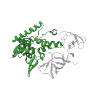 The deposited structure of PDB entry 2deu contains 2 copies of CATH domain 3.40.50.620 (Rossmann fold) in tRNA-specific 2-thiouridylase MnmA. Showing 1 copy in chain C [auth A].